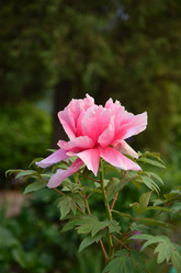 Similar image 21878823