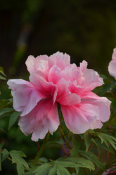 Similar image 21878824