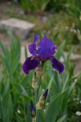 Similar image 21878825