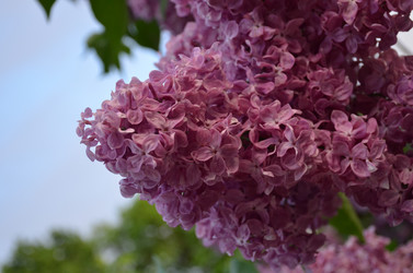 Similar image 21878826