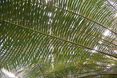 Similar image 21878963