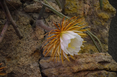 Similar image 21878600