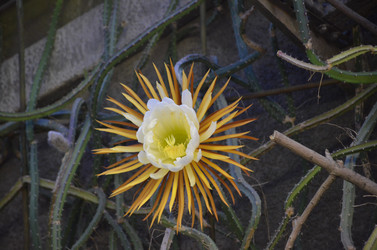 Similar image 21878964