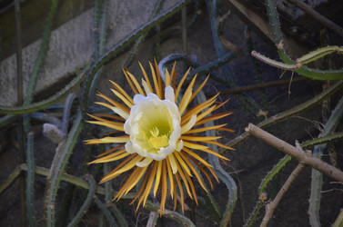 Similar image 21878965