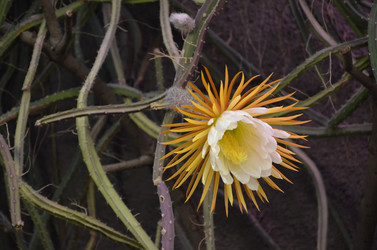 Similar image 21878966