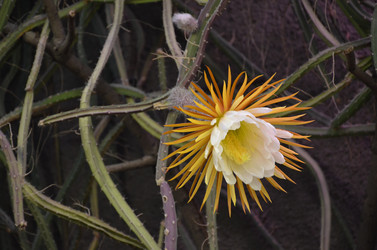 Similar image 21878967