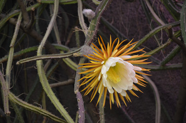 Similar image 21878968