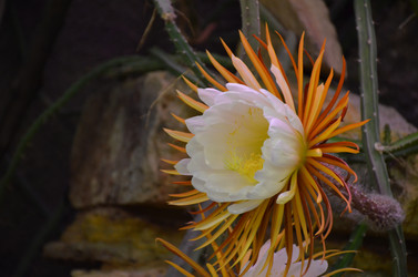 Similar image 21878969