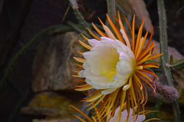 Similar image 21878970