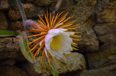 Similar image 21878971