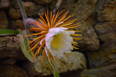 Similar image 21878972