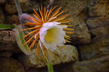 Similar image 21878973