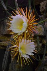 Similar image 21878603