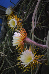 Similar image 21878604