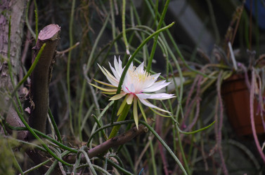 Similar image 21878976