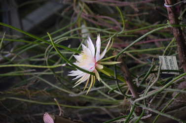 Similar image 21878978