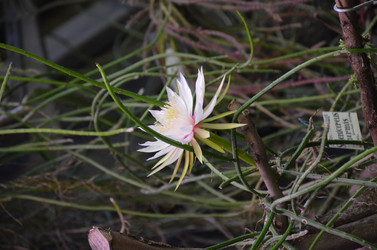 Similar image 21878979