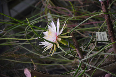 Similar image 21878980