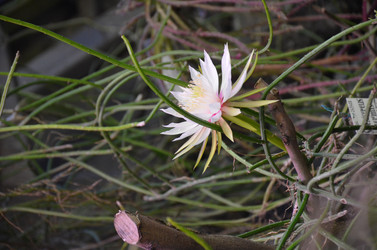 Similar image 21878981