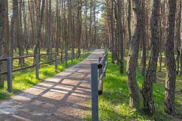 Similar image 21885209