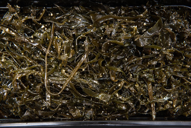 Similar image 21888542