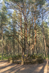 Similar image 21885210