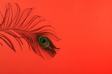 Similar image 21888781