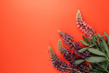 Similar image 21888795