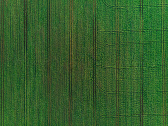 Similar image 21888796