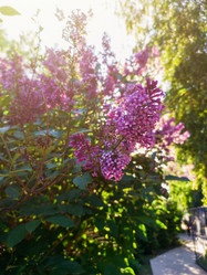 Similar image 21888813