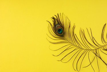 Similar image 21888819