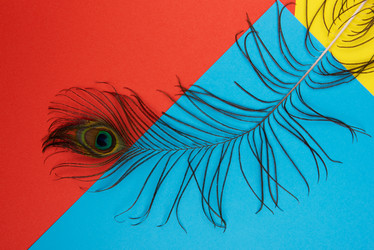 Similar image 21888821