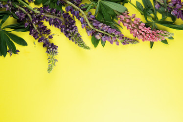 Similar image 21888823