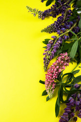 Similar image 21888825