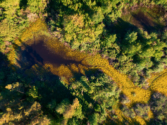 Similar image 21888650