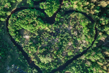 Similar image 21888652