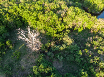 Similar image 21888656