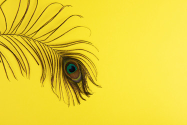 Similar image 21888671