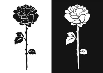 Similar image 21886318