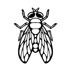 Similar image 21886400