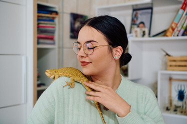 Similar image 21880847