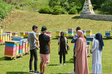 Similar image 21881085