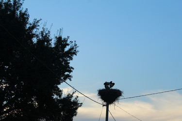 Similar image 21879471