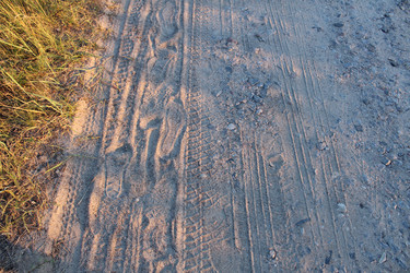 Similar image 21879473