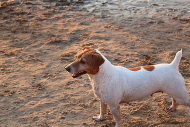 Similar image 21879478