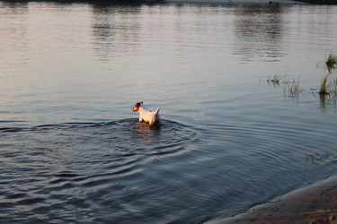 Similar image 21894370