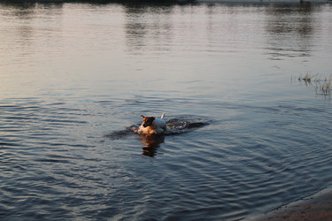 Similar image 21879726