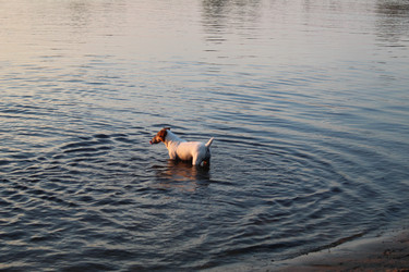 Similar image 21879727