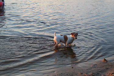 Similar image 21879729