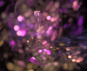 Similar image 21885040